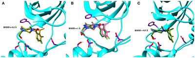 Rational Drug Design of Axl Tyrosine Kinase Type I Inhibitors as Promising Candidates Against Cancer